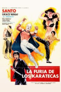 La furia de los karatecas