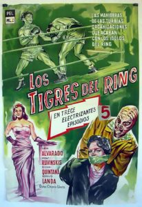 Tigers of the ring